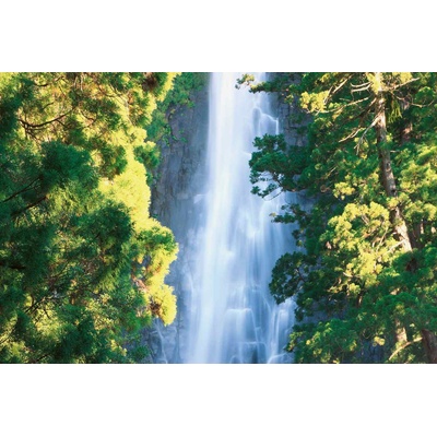 DIMEX ART Флизелинов фототапет водопад начи 375 x 250 см