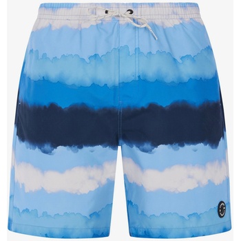 Protest Мъжки плажни шорти Protest PRTHAMSEY Protest | Sin | МЪЖЕ | M