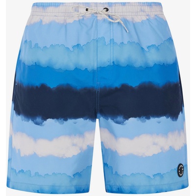 Protest Мъжки плажни шорти Protest PRTHAMSEY Protest | Sin | МЪЖЕ | M