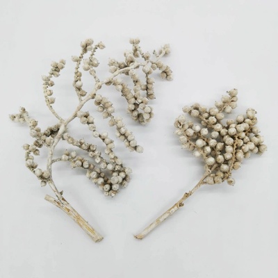 Canella special - 20 ks - flocking white - SU1159