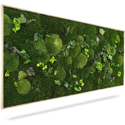 Machový obraz RASTLINY Mesia, 100x50cm, drevený čierny rám