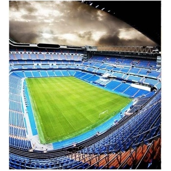 DIMEX ART s. r. o Флизелинов фототапет футболен стадион 225 x 250 см