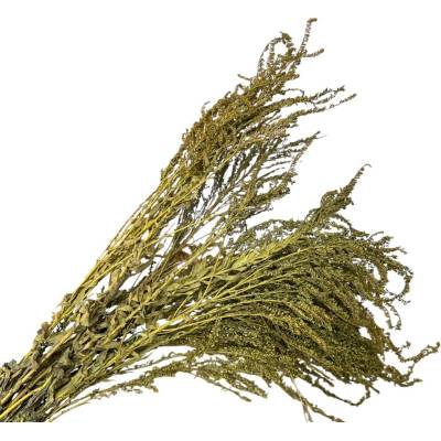 FLOWERIO Sušené stabilizované kvety Zlatobyľ 100g - olivovo zelené