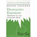 Destructive Emotions - Daniel Goleman