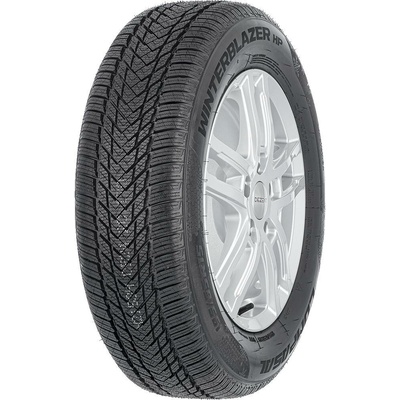 Compasal Winter Blazer HP 165/65 R14 79T