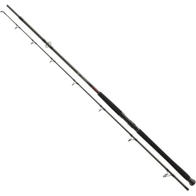 Daiwa EXCELER CATFISH BOJE 3 m 200-600 g 2 díly