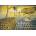 Bluebird Puzzle - Puzzle Salvador Dalí - The Corpuscular Persistence of Memory - 1 000 piese