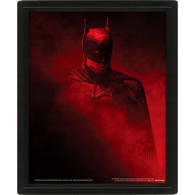 Obraz 3D Batman Vengence
