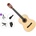 Pasadena PC-10L Premium SET 4/4 Natural Класическа китара