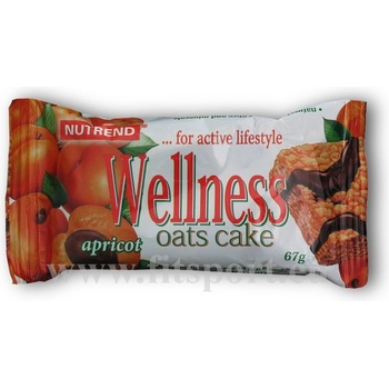 NUTREND Wellness cake 67 g