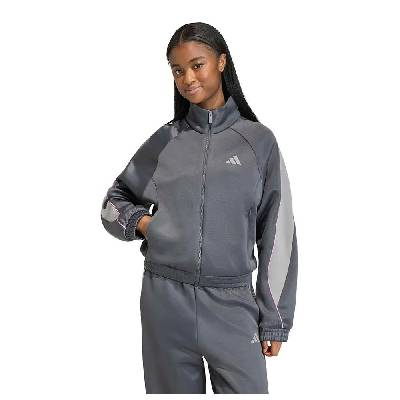 Блуза Adidas Stadium full zip sweatshirt - Grey (Grey Six / Ch Solid Grey / St Tropic Bloom)