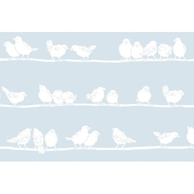 D-c-fix 216-0020 Samolepicí statická fólie Premium na sklo transparentní Filippa 45 cm x 15 m