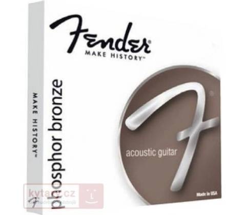 Fender 60 XL