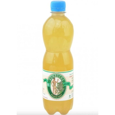 Stevikon kombucha hloh 0,5 l