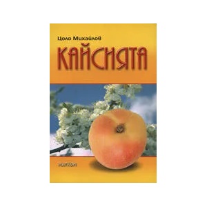 Кайсията (2007)