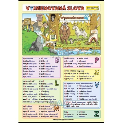 Vyjmenovaná slova - rozlišuj A4 (30x21 cm)
