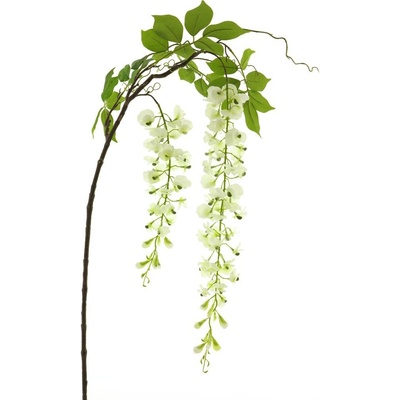 Vistárie - Wisteria alara krémová v142 cm (N934400)