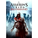 Assassin’s Creed: Brotherhood