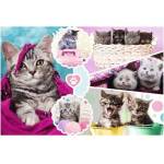 Trefl Puzzle 160 pcs. Cute cats Trefl 15371