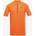 ALPINE PRO Geret T-shirt ALPINE PRO | Oranzhev | МЪЖЕ | S