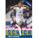 Tomáš Souček/Patrik Schick