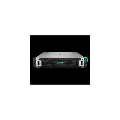 HPE DL345 G11 P81837-425 – Zboží Živě