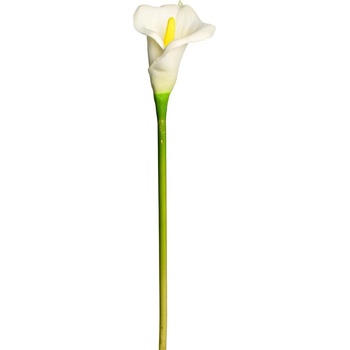 KS CALLA BIELA 65cm