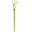 KS CALLA BIELA 65cm