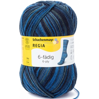 Regia 6-ply Fantastico color 6079 Tinte
