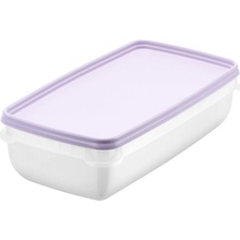 Smartstore Krabičky do mrazáku Frost 2 ks 1,2 l