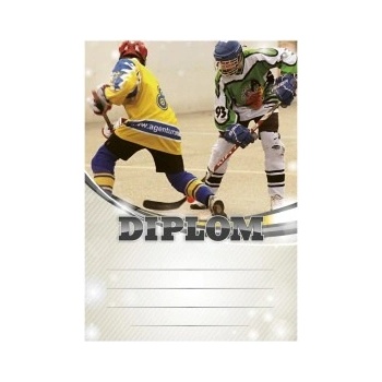 Diplom 6613