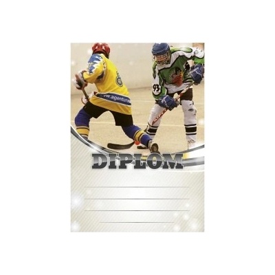 Diplom 6613