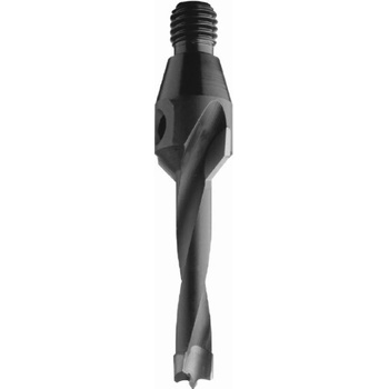 IGM C33712011