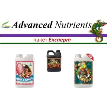 Пакет "Експерт