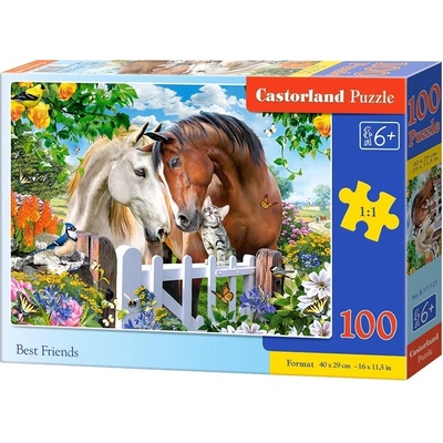 Castorland BEST FRIENDS 100 dielov