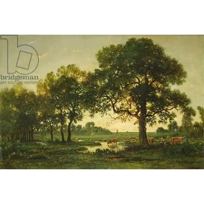 Obrazy - Rousseau, Theodore: Pond Oaks - reprodukce obrazu