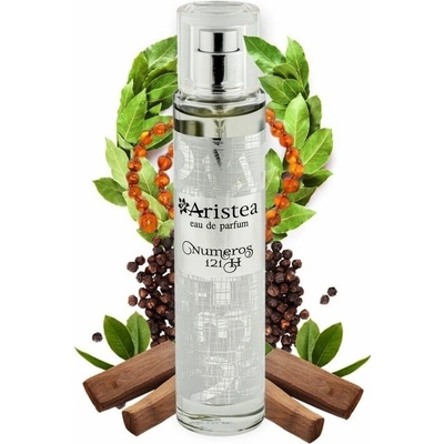 Aristea Numeros 121 parfumovaná voda pánska 50 ml