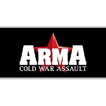 Arma: Cold War Assault