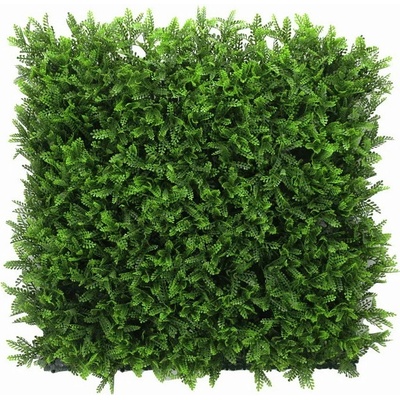 Umělý živý plot ASPLENIUM TMAVÉ PREMIUM, 4ks dílce 50x50cm, plocha 1m2