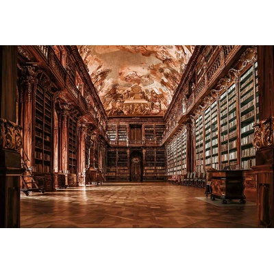 DIMEX ART Флизелинов фототапет празна библиотека 375 x 250 см