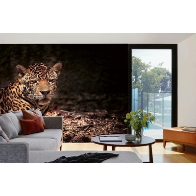 Dimex MA-5-0538 Samolepicí vliesová fototapeta na zeď Ležící leopard rozměry 375 x 250 cm