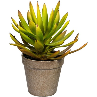 Gasper Umělá rostlina Aloe plicatilis, 24 cm