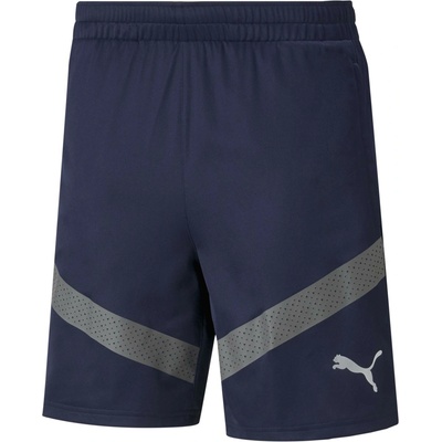 Puma TeamFINAL Training Shorts