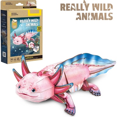 CUBICFUN 3D puzzle National Geographic: Axolotl 50 ks