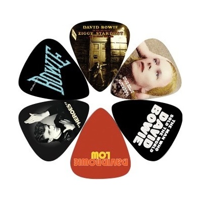 Perri's Leathers David Bowie Picks I