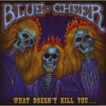 BLUE CHEER: WHAT DOESNT KILL YOU ? CD