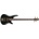 Ibanez SR3500