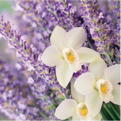 Yankee Candle Signature LAVENDER VANILLA 368 g