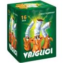 Kompakt VAJGLÍCI 16 ran