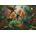Bluebird Puzzle - Puzzle Tropical Harmony - 1 000 piese